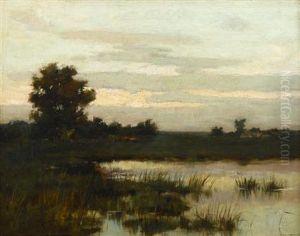 Marsh At Dawn