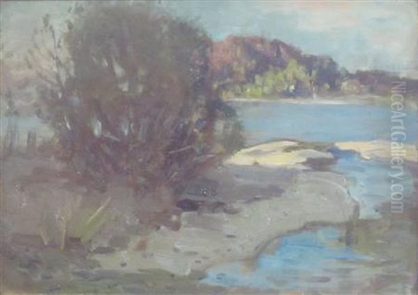 Inchtavannach, Loch Lomond - view 1