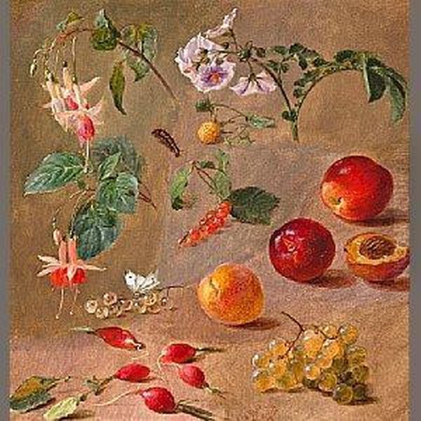 A Study Of Fruit, Flowers And Insects - view 1