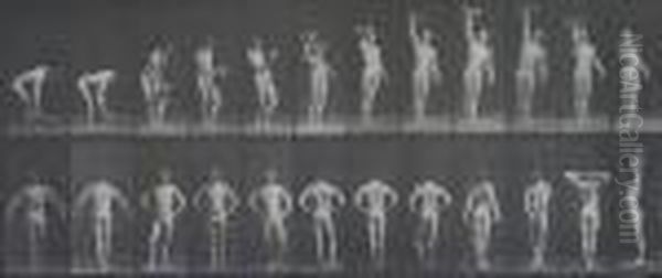 Animal Locomotion Plate No. 321 - view 1