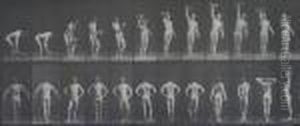 Animal Locomotion Plate No. 321 by Eadweard Muybridge