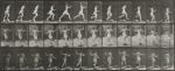 Animal Locomotion, Female - view 1