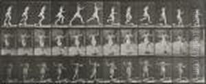 Animal Locomotion, Female