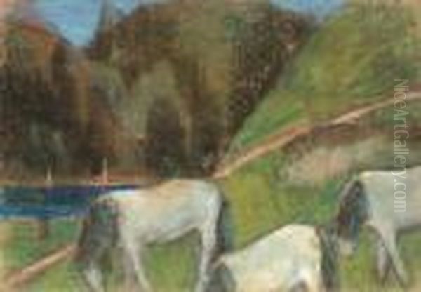 Cai Albi - view 1