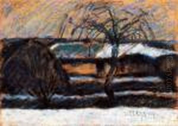 Old Willow - view 1