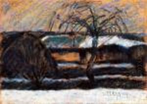Old Willow