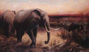 Elephants, Sable Antelope and Zebras at a Waterhole - Sunset Elephants, Sable Antelope and Zebras at a Waterhole - Sunset