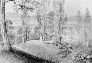 Grove of Poplars with a Memorial Bust, David Hosack Estate, Hype Park, New York (from Hosack Album) by Thomas Kelah Wharton
