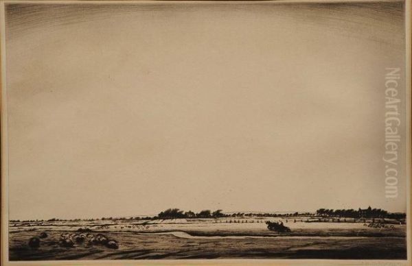 Romney Marsh - view 1
