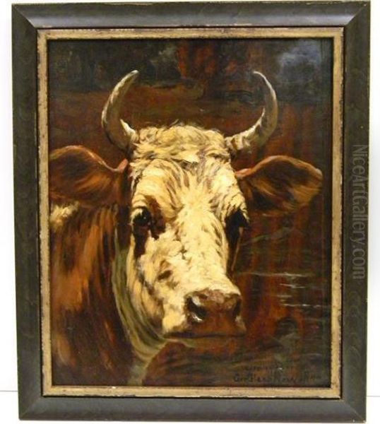 Untitled Portrait Of A Steer - view 1