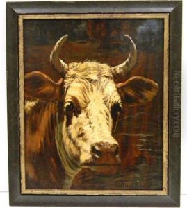 Untitled Portrait Of A Steer by George Glenn Newell