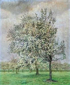 Bloesemboomgaard
