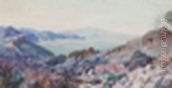Paysage - view 1