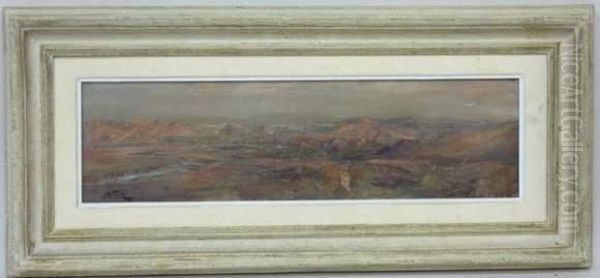 Paysage Montagneux - view 1