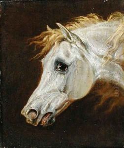 Head of a Grey Arabian Horse
