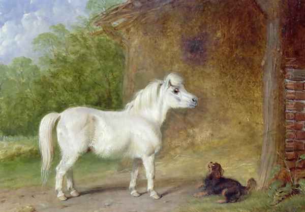 A Shetland pony and a King Charles spaniel - view 1