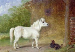 A Shetland pony and a King Charles spaniel by Martin Theodore Ward