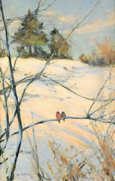 Vinterbild Fran Skansen - view 1