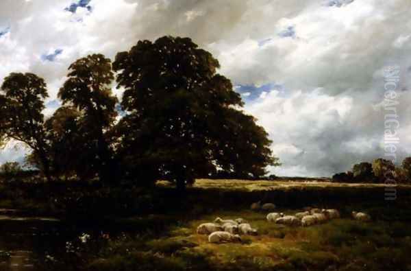 Landscape with Sheep - view 1