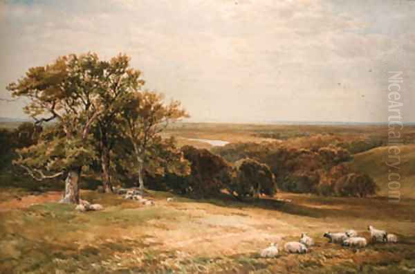 Sheep grazing in an extensive landscape - view 1