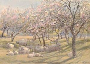 Sheep resting in the shade of an apple orchard by Augustus Watford Weedon