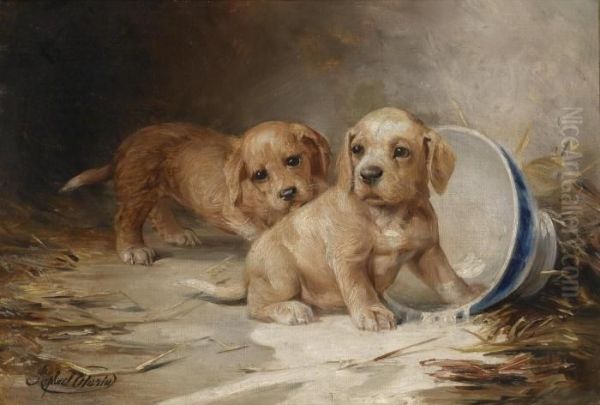 Puppies - view 1