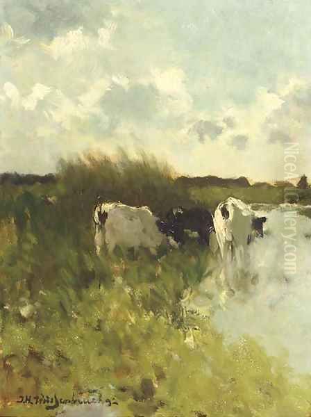 Summer in the polder - view 1