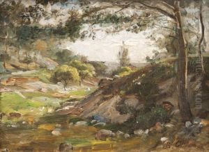 Paysage Paysage