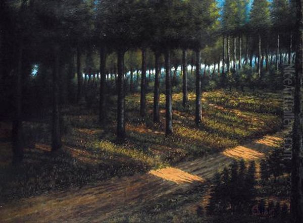 Il Bosco - view 1