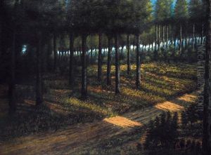 Il Bosco Il Bosco