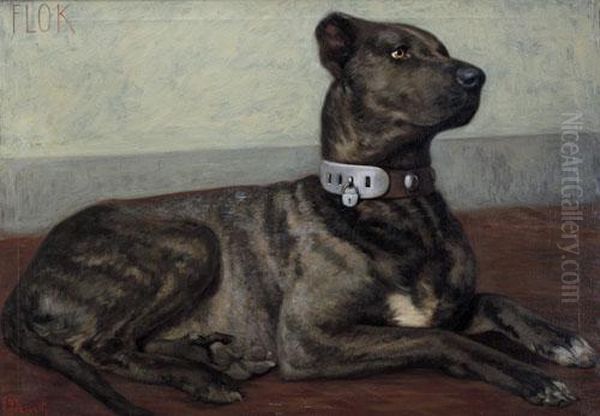 Il Cane Flok - view 1