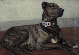 Il Cane Flok Il Cane Flok