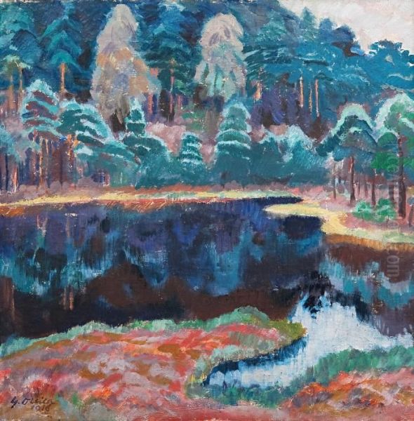 Landscape/reflections - view 1