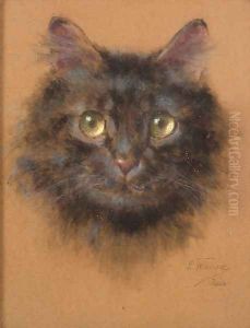 Cat by Jerzy Edward Winiarz