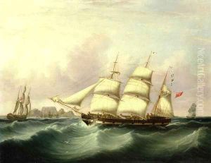 The 'Alert' of Liverpool off Capetown