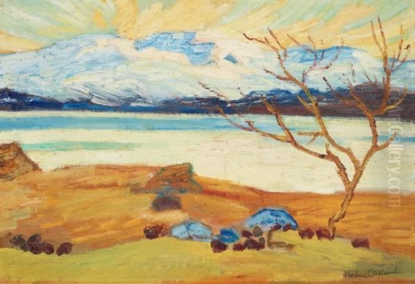 Spring Landscape From The North Of Sweden - view 1
