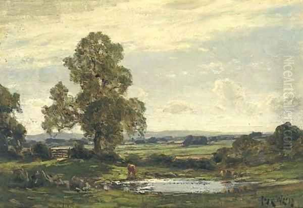 Summer landscape - view 1