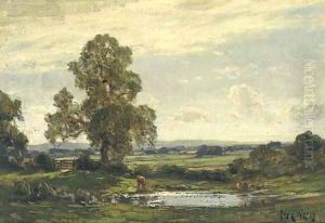 Summer landscape by Jose Weiss