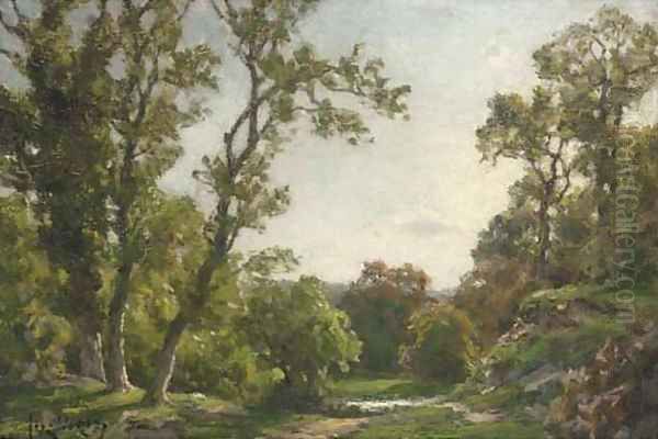 A woodland path - view 1