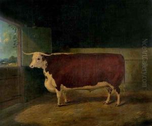 Portrait of a Prize Hereford Steer, 1874 by Richard Whitford