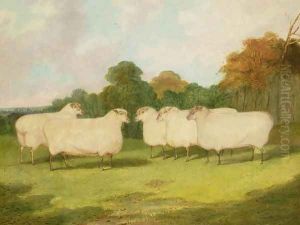 Study of Sheep in a Landscape by Richard Whitford