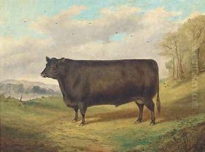A prize bull by Richard Whitford