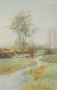 River Landscape