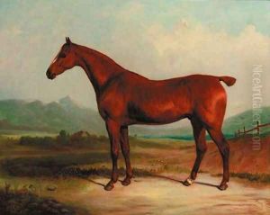 A chestnut hunter in a landscape