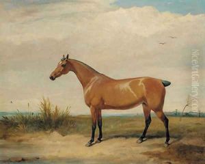 A bay hunter in an open landscape by Thomas Woodward