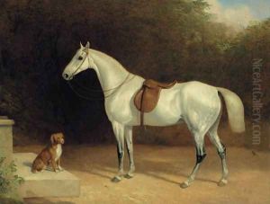 A saddled grey hunter, with a dog on a stone step, and a robin by Thomas Woodward