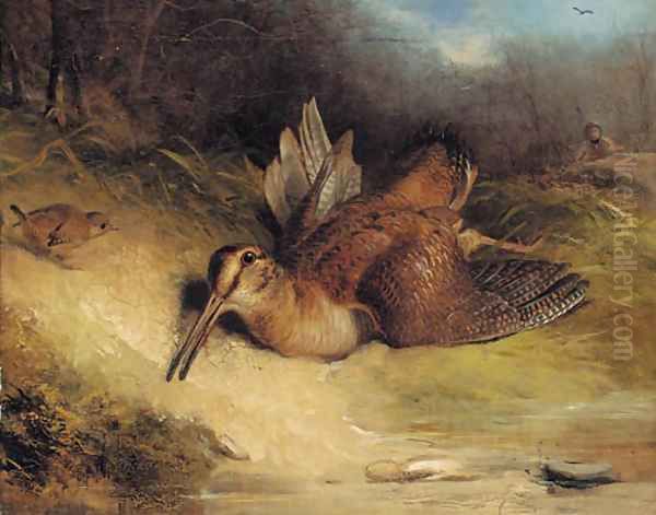 The dying woodcock - view 1
