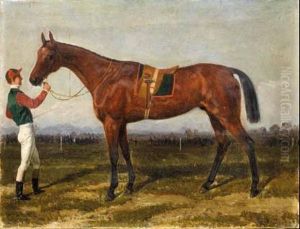 Cavallo Da Corsa Condotto