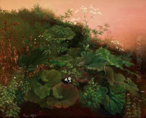 A Study Of Plants, Tivoli