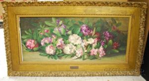 Rhododendrons